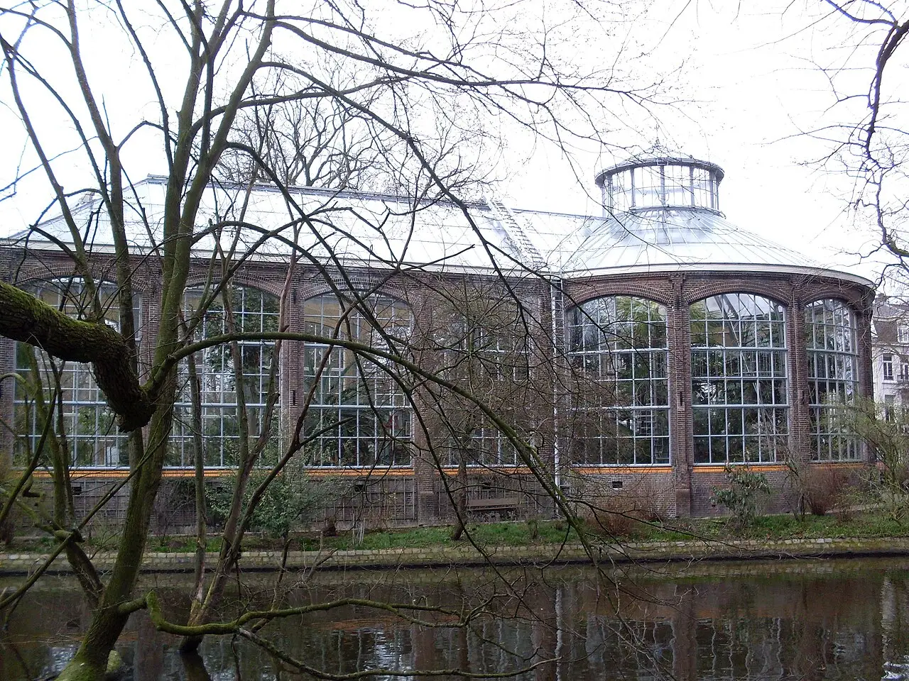 Hortus Botanicus