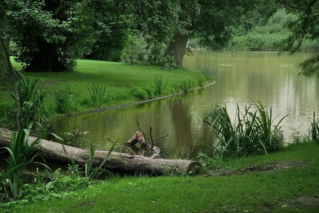 Der Vondelpark